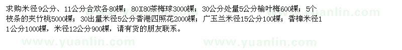 求購(gòu)合歡、茶梅球、榆葉梅、夾竹桃、香港四照花、廣玉蘭、香樟