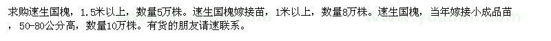 求購速生國槐