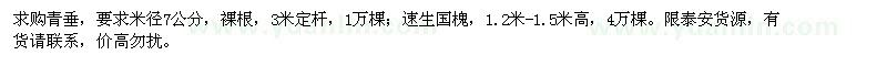 求購青垂,速生國槐