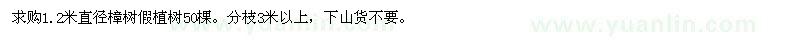 求購1.2米直徑樟樹假植