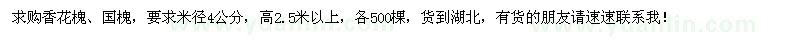 求購香花槐、國槐