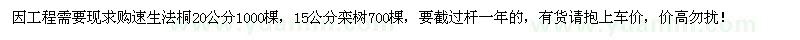 求購20公分法桐、15公分欒樹