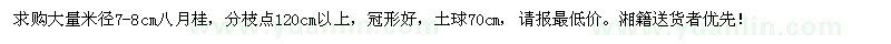 求購(gòu)米徑7-8cm的八月桂