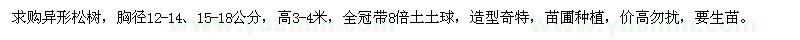求購胸徑12-14,15-18公分異形松樹