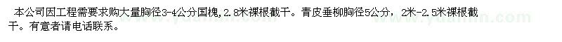 求購求購國槐、青皮垂柳