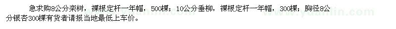 求購急購欒樹，垂柳，銀杏