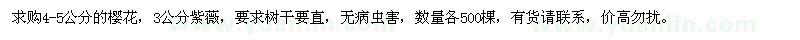 求購4-5公分的櫻花