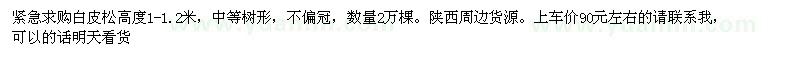 求購白皮松