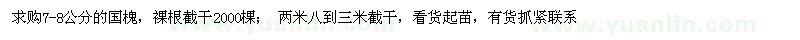 求購(gòu)7-8公分的國(guó)槐,裸根截干2000棵