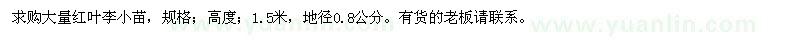 求購(gòu)大量紅葉李小苗 