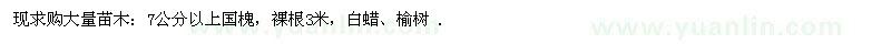 求購國槐、白蠟、榆樹 