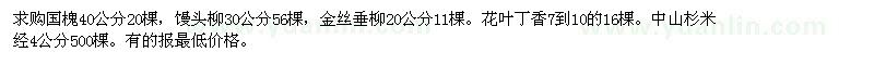 求購國槐40公分20棵，饅頭柳，金絲垂柳 