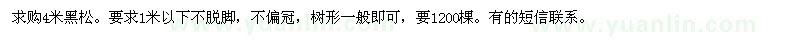 求購4米黑松