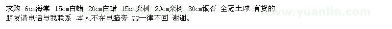 求購6cm海棠 15cm白蠟 20cm白蠟 