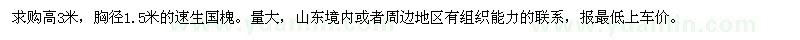 求購高3米，胸徑1.5的速生國槐
