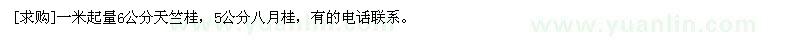 求購一米起量6公分天竺桂，5公分八月桂