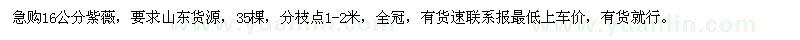 求購16公分紫薇，要求山東貨源，35棵