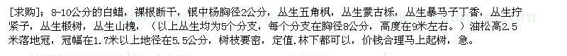 求購8-10公分的白蠟，銀中楊，叢生五角楓