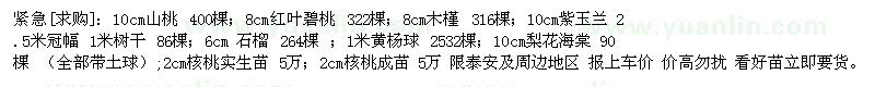 求購(gòu)10cm山桃 ；8cm紅葉碧桃 ；8cm木槿