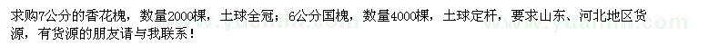 求購7公分香花槐、6公分國槐