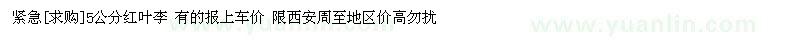 求購5公分紅葉李