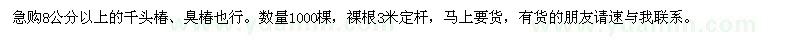 求購8公分以上的千頭椿、臭椿