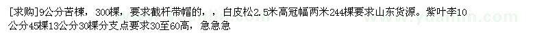 求購9公分苦楝，白皮松，紫葉李