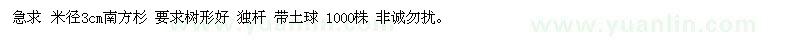 求購米徑3cm南方杉 要求樹形好 