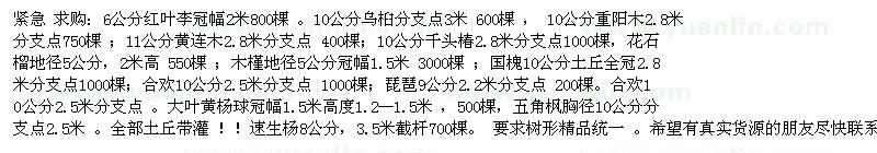 求購6公分紅葉李冠幅2米800棵