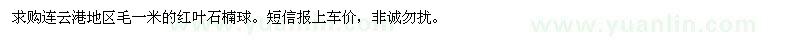 求購一米的紅葉石楠球