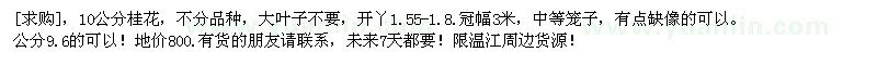 求購10公分桂花，不分品種