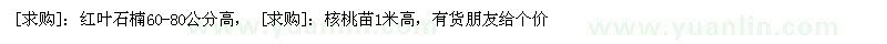 求購紅葉石楠 核桃苗
