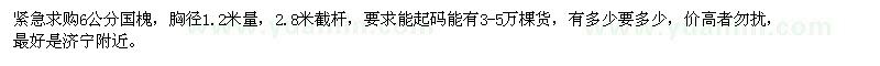 求購6公分國槐