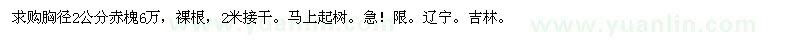 求購胸徑2公分赤槐6萬 