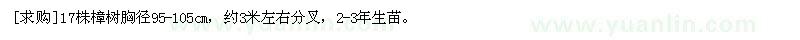 求購17株樟樹胸徑95-105cm