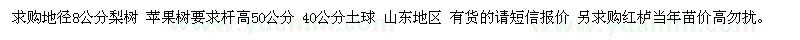 求購地徑8公分梨樹 紅櫨當(dāng)年苗 