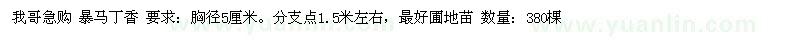 求購暴馬丁香 要求：胸徑5厘米