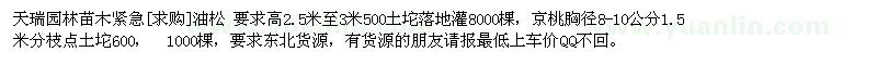 求購(gòu)油松