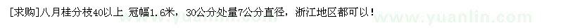 求購八月桂分枝40以上