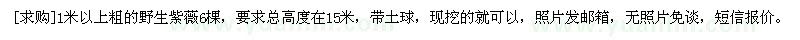 求購1米以上粗的野生紫薇6棵