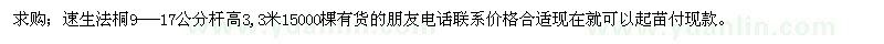 求購速生法桐9---17公分桿高3,3米15000棵 