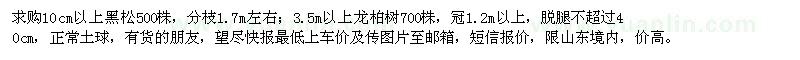 求購黑松,龍柏