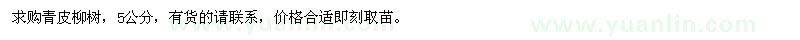 求購5公分青皮柳樹