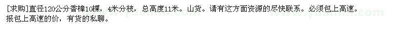 求購直徑120公分香樟10棵