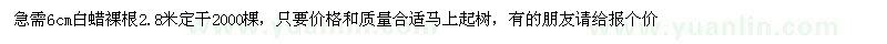 求購6cm白蠟裸根2.8米定干2000棵