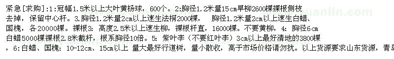 求購(gòu)大葉黃楊球 旱柳 速生法桐 速生柳 白蠟 紫葉李 白蠟 國(guó)槐