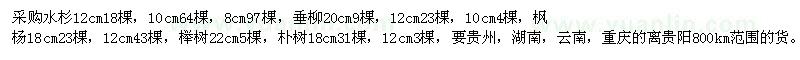 求購水杉 垂柳 楓楊 櫸樹 樸樹