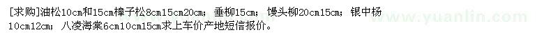 求購油松 樟子松 垂柳 饅頭柳 銀中楊 八凌海棠