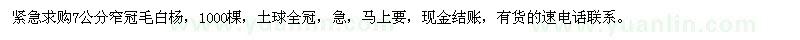 求購7公分窄冠毛白楊