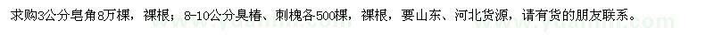 求購(gòu)3公分皂角，8-10公分臭椿、刺槐